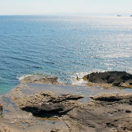 Cedro Capoliveri (Isola d'Elba)